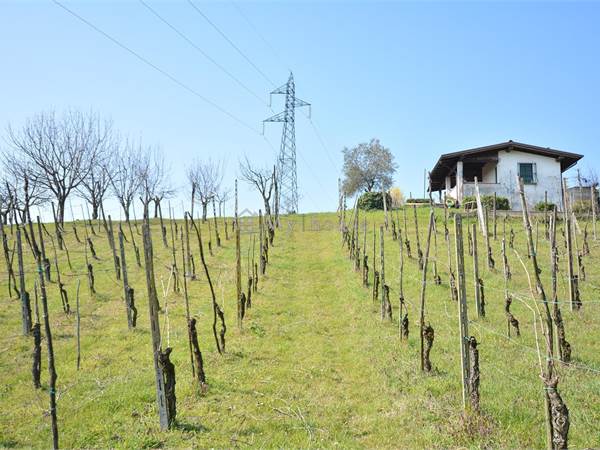 Tra viti e silenzio: casottino panoramico con 7500mq di vigneto
