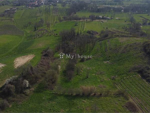 Terreno agricolo da adibire a Vigneto