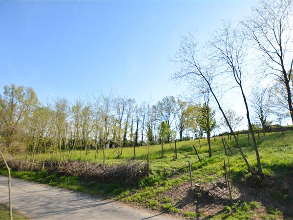 Vigneto con accesso privato e impianto idrico