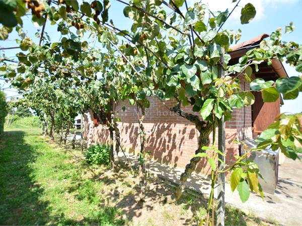 Occasione in Pomo Granino: natura, vista e silenzio assoluto!