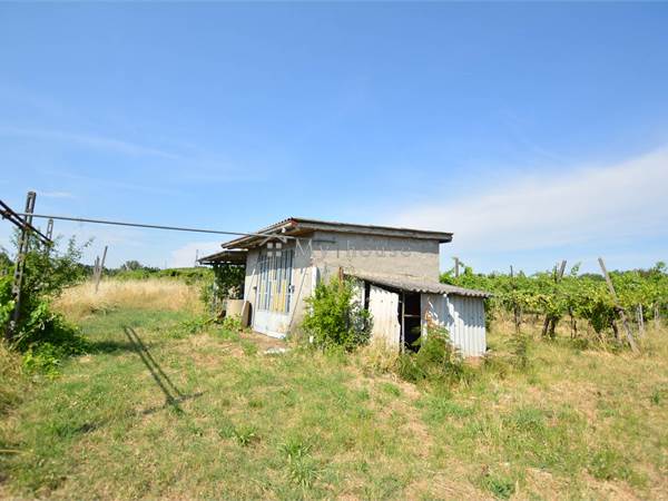 Terreno Agricolo in vendita a Miradolo Terme