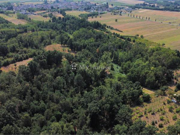 Bosco di 6260 mq con casotto attrezzi accatastato